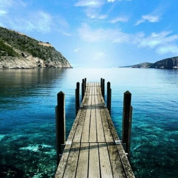 Meet your Posher, Cambri - Picture 1 of 1